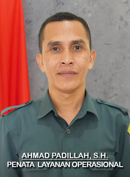 51_padil.jpg